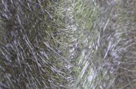 Pont Ar Gothi fibreglass roof work